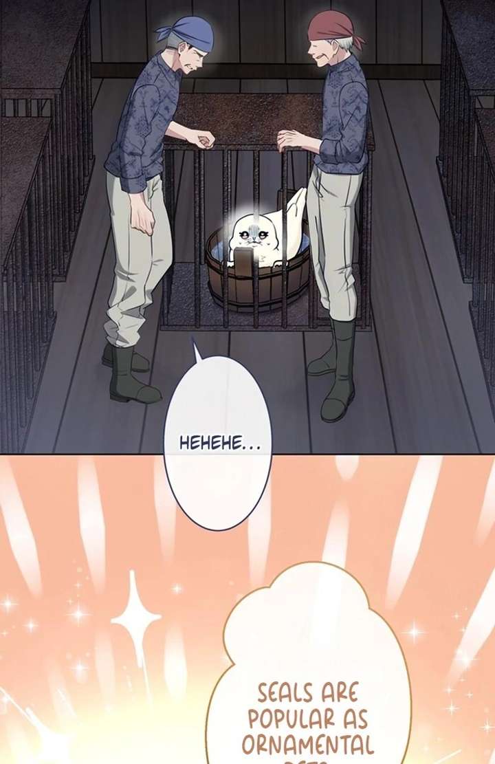 The Coldhearted Duke Is Obsessed With the Seal Princess Chapter 3 393 029