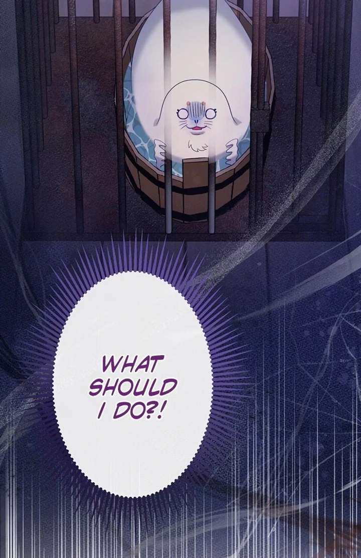 The Coldhearted Duke Is Obsessed With the Seal Princess Chapter 3 406 042