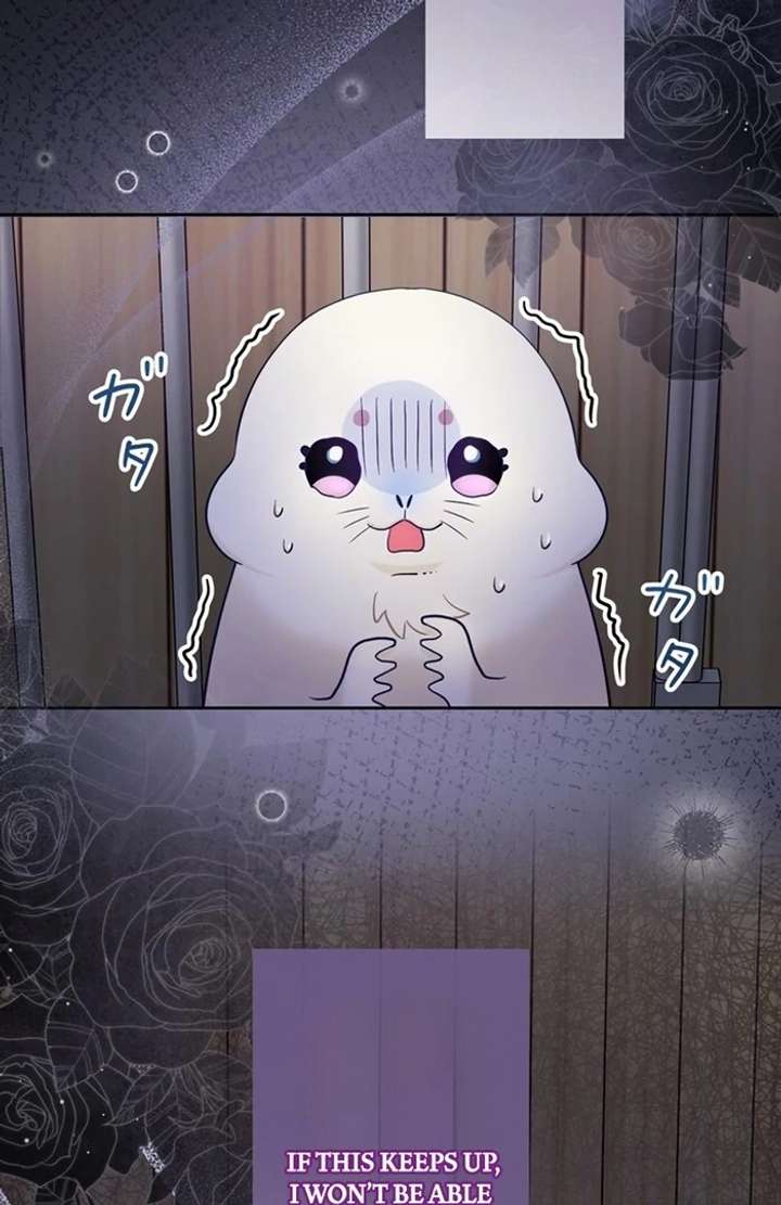 The Coldhearted Duke Is Obsessed With the Seal Princess Chapter 3 417 053