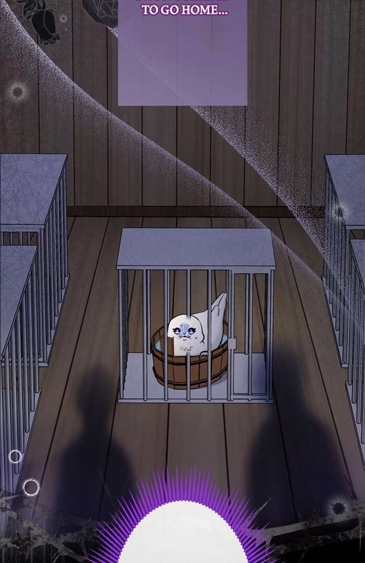 The Coldhearted Duke Is Obsessed With the Seal Princess Chapter 3 418 054