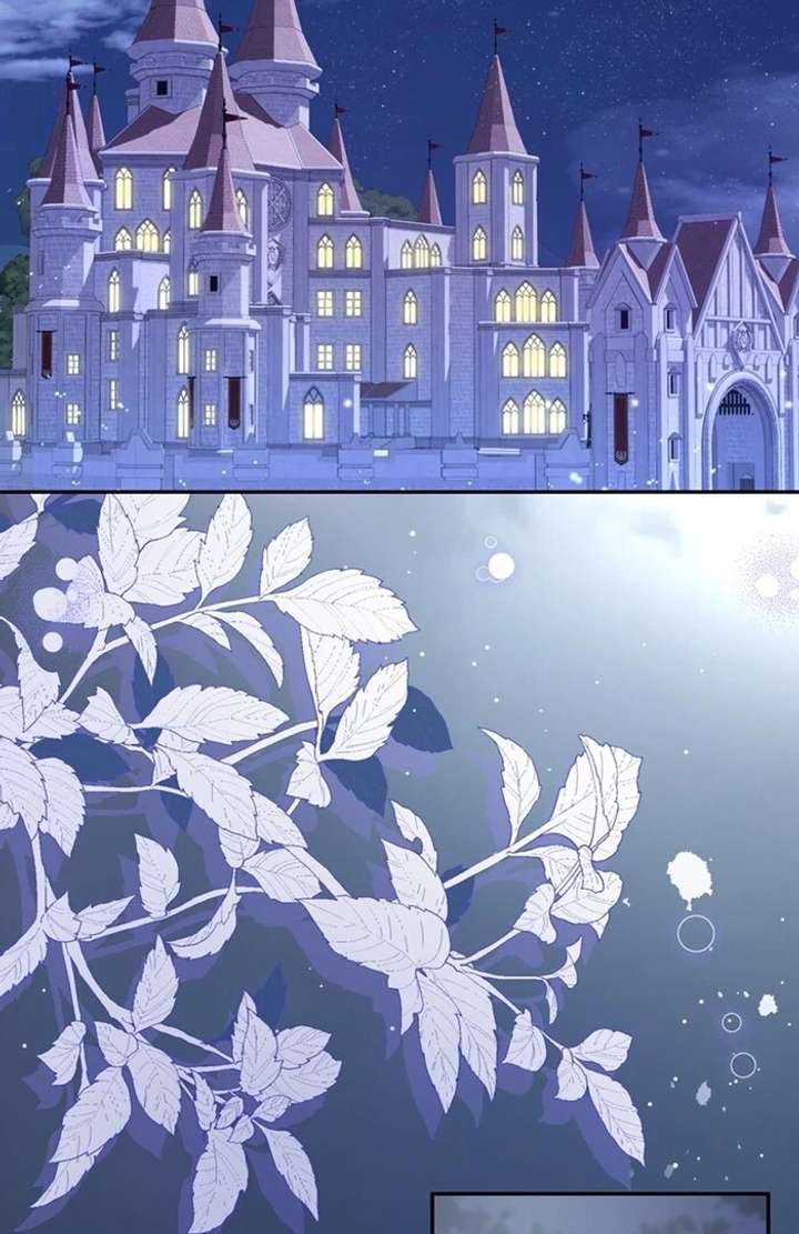 The Coldhearted Duke Is Obsessed With the Seal Princess Chapter 3 435 071