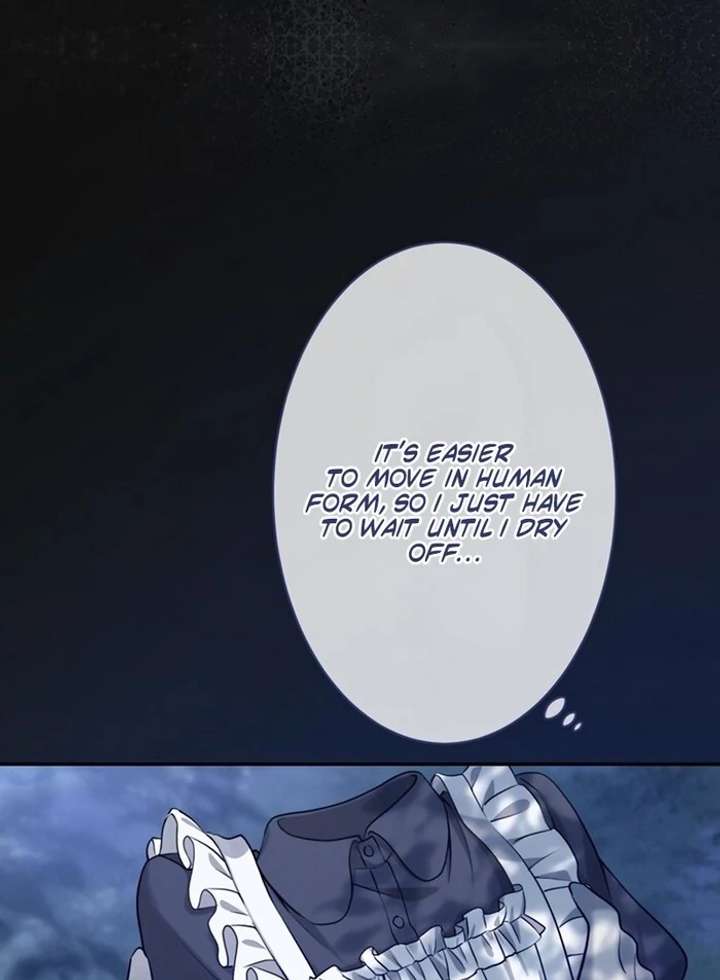 The Coldhearted Duke Is Obsessed With the Seal Princess Chapter 3 437 073