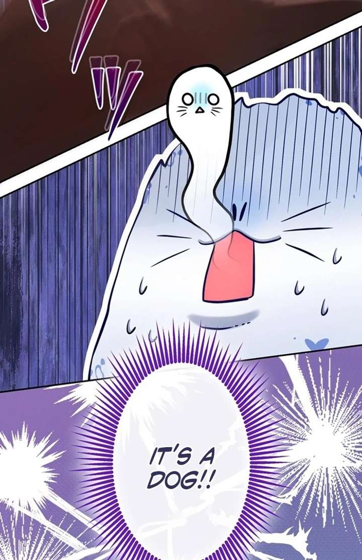 The Coldhearted Duke Is Obsessed With the Seal Princess Chapter 3 442 078