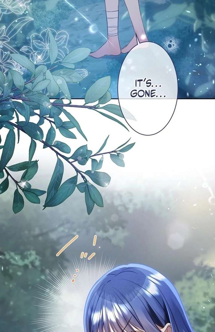 The Coldhearted Duke Is Obsessed With the Seal Princess Chapter 3 456 092