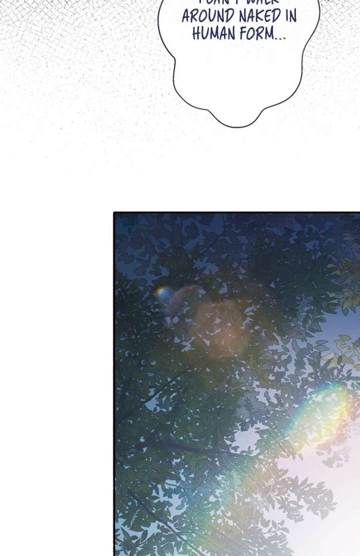 The Coldhearted Duke Is Obsessed With the Seal Princess Chapter 3 459 095