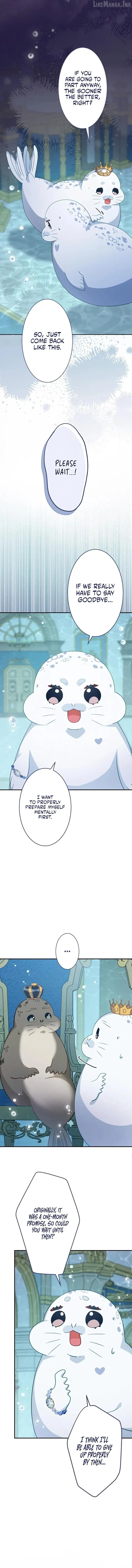 The Coldhearted Duke Is Obsessed With the Seal Princess Chapter 36 62 2956ee1102f4
