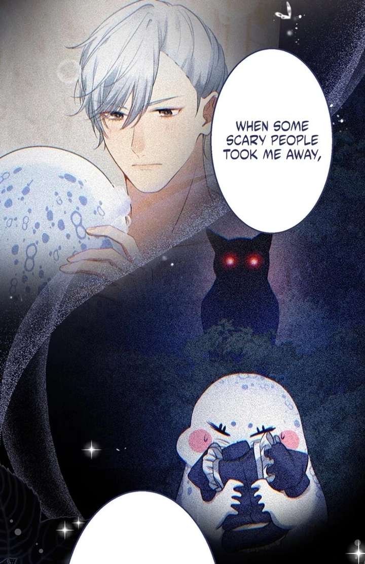 The Coldhearted Duke Is Obsessed With the Seal Princess Chapter 4 479 091