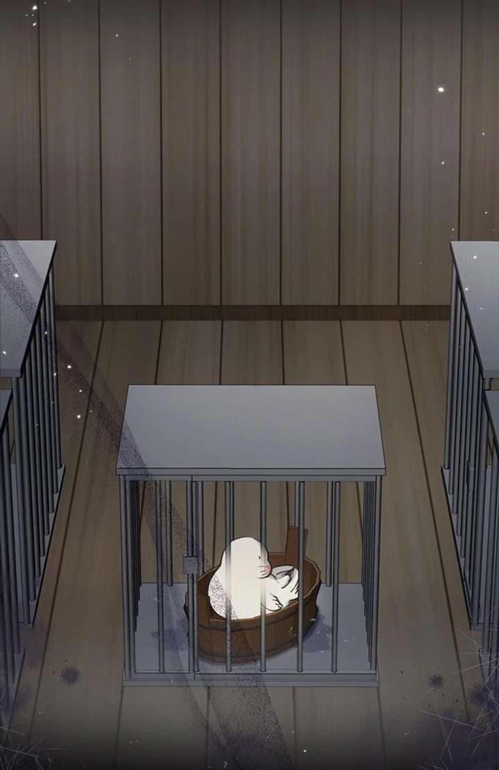 The Coldhearted Duke Is Obsessed With the Seal Princess Chapter 5 402 002