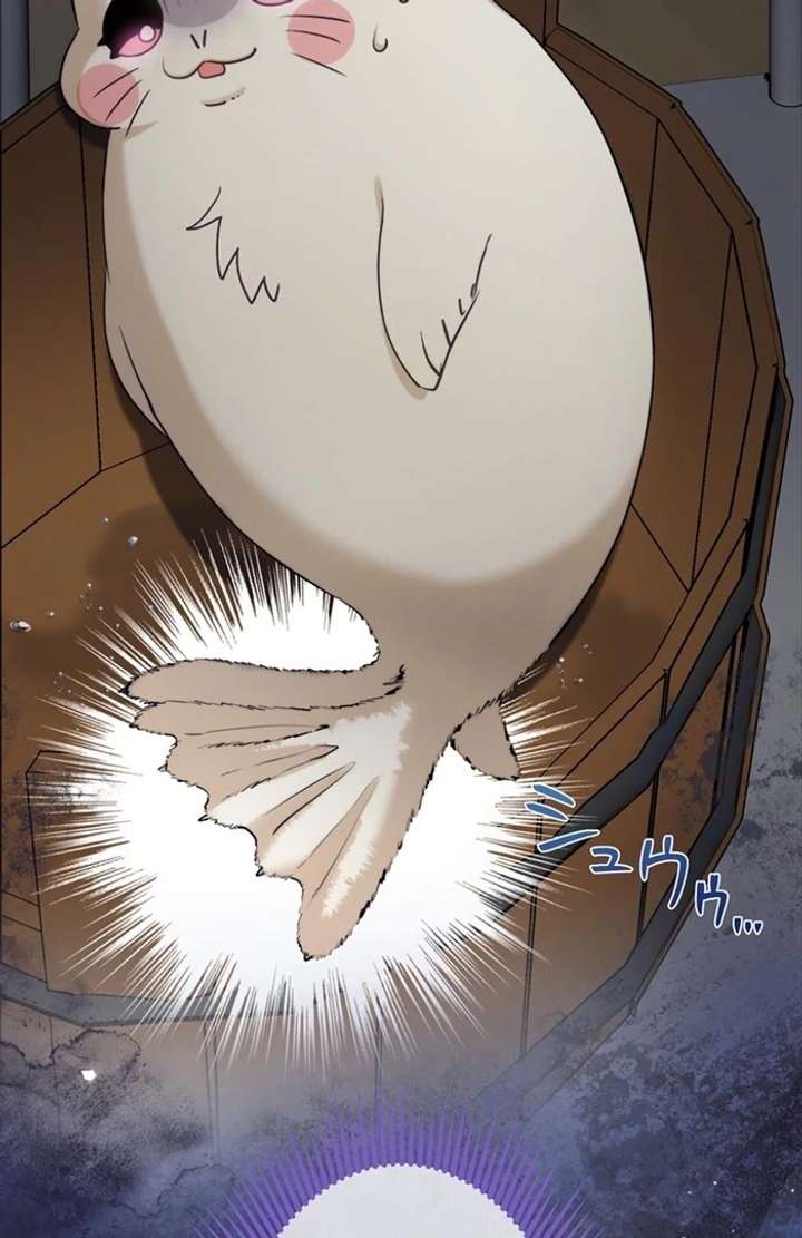 The Coldhearted Duke Is Obsessed With the Seal Princess Chapter 5 404 004