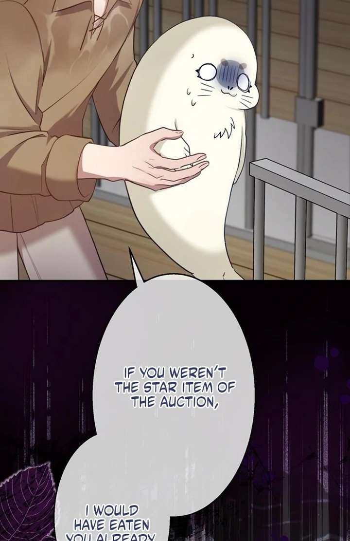 The Coldhearted Duke Is Obsessed With the Seal Princess Chapter 5 421 021