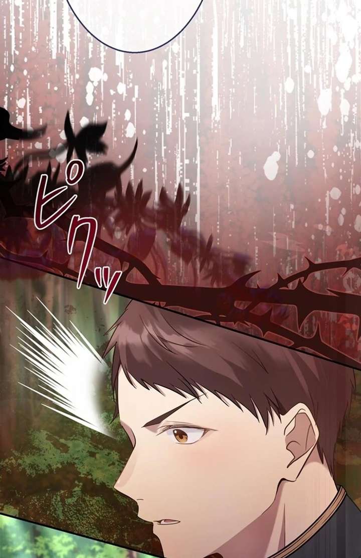 The Coldhearted Duke Is Obsessed With the Seal Princess Chapter 6 520 117