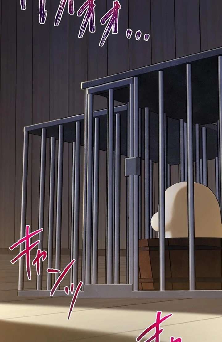 The Coldhearted Duke Is Obsessed With the Seal Princess Chapter 7 535 114