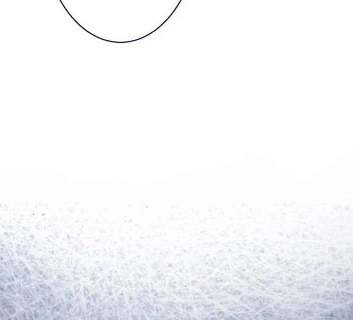 The Coldhearted Duke Is Obsessed With the Seal Princess Chapter 9 474 095