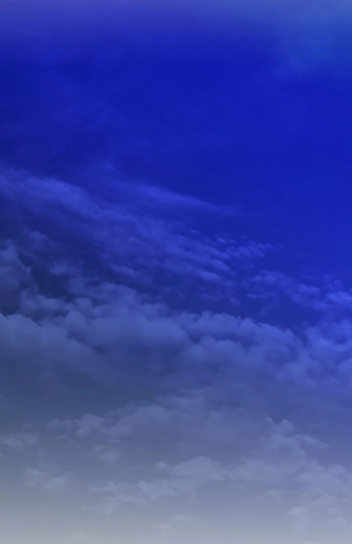 The Poisoned Princess Trains the Deadliest Slave Chapter 11 421 084