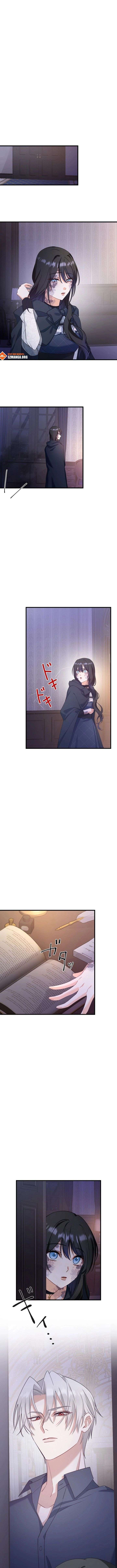 ch 25 11
