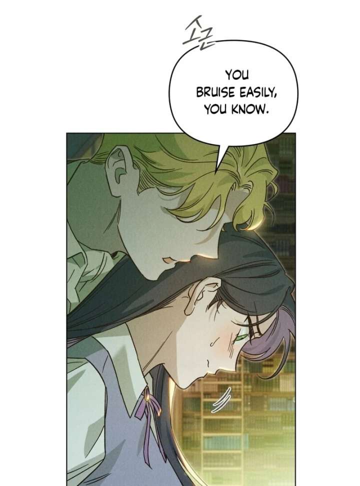 The Butterfly That Swallowed the Mist Chapter 12 289 03