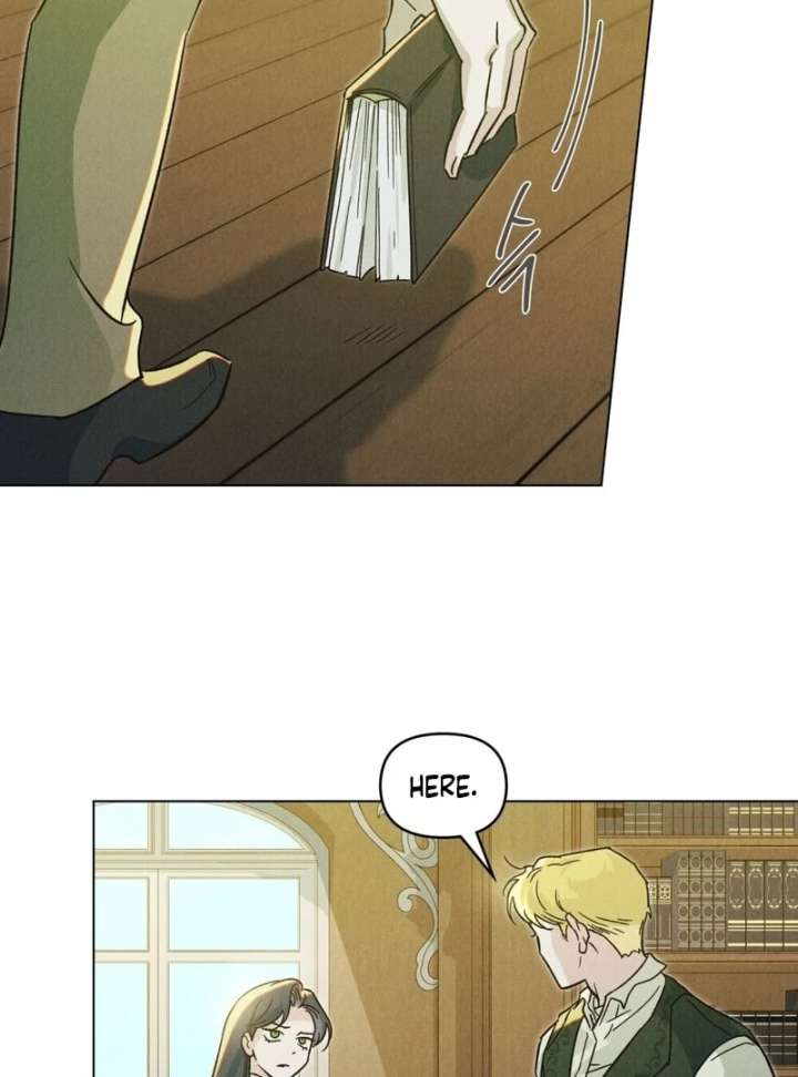 The Butterfly That Swallowed the Mist Chapter 12 297 11