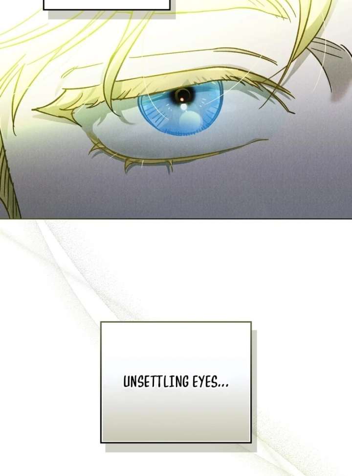 The Butterfly That Swallowed the Mist Chapter 12 300 14