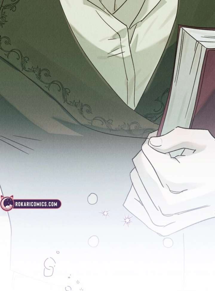 The Butterfly That Swallowed the Mist Chapter 12 316 30