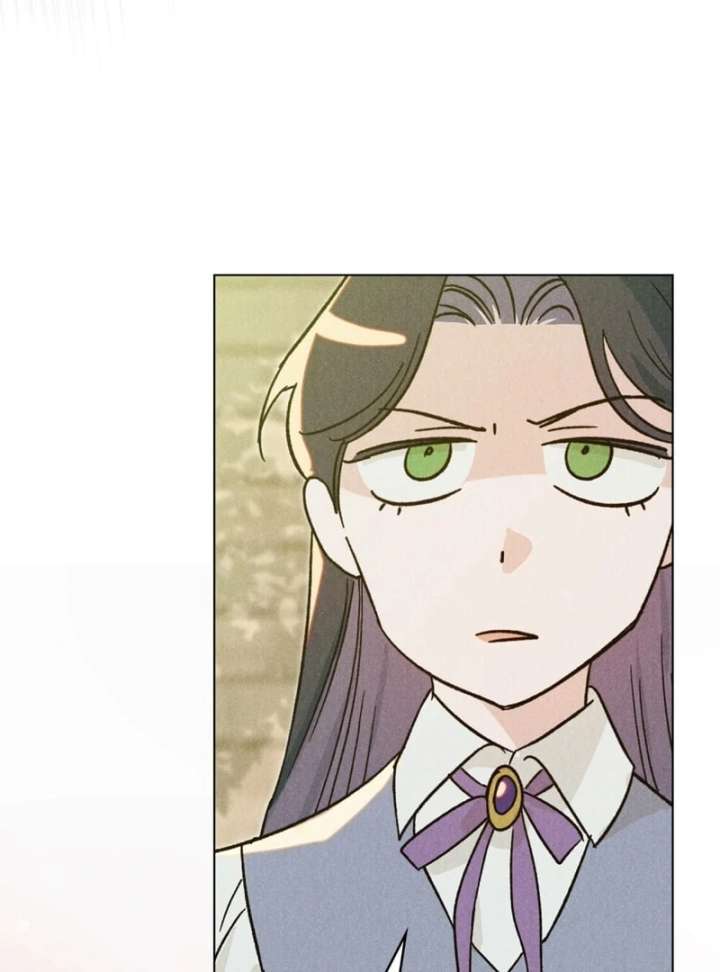 The Butterfly That Swallowed the Mist Chapter 12 337 51