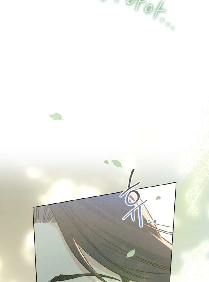 The Butterfly That Swallowed the Mist Chapter 12 357 71