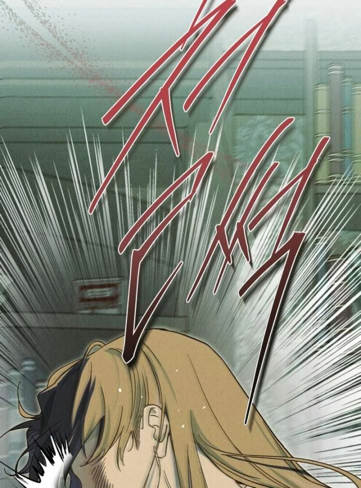 The Butterfly That Swallowed the Mist Chapter 13 333 008