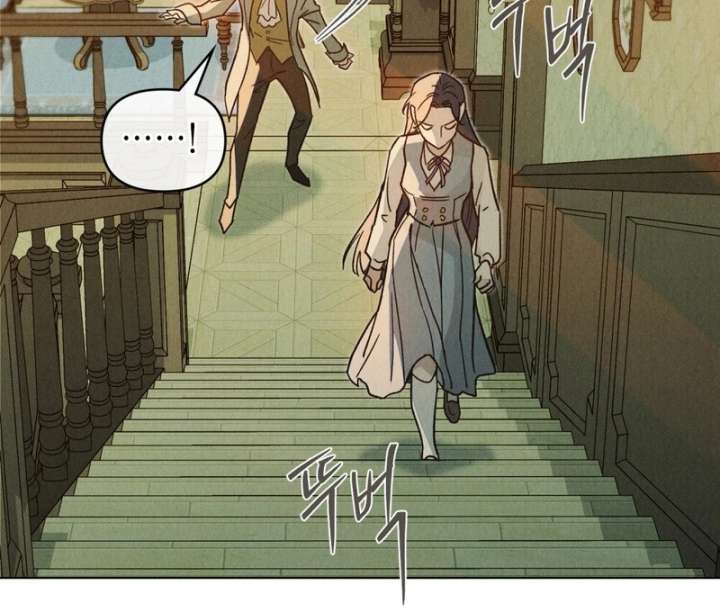 The Butterfly That Swallowed the Mist Chapter 13 381 056