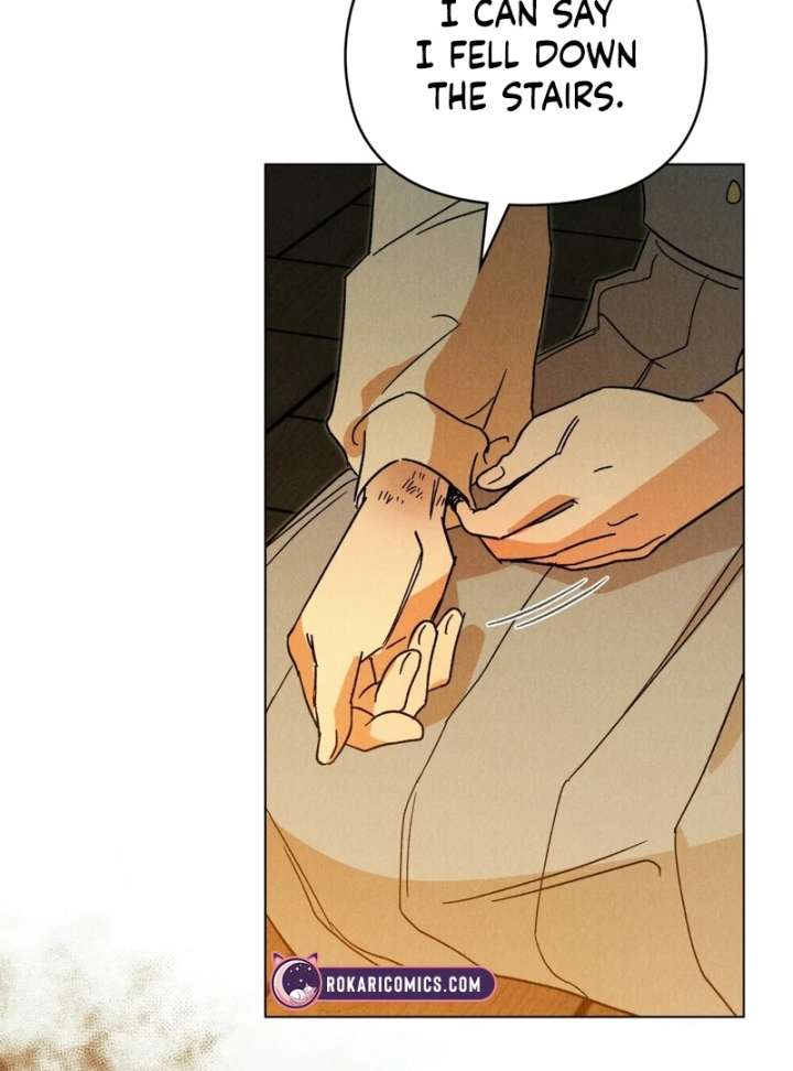 The Butterfly That Swallowed the Mist Chapter 13 425 100