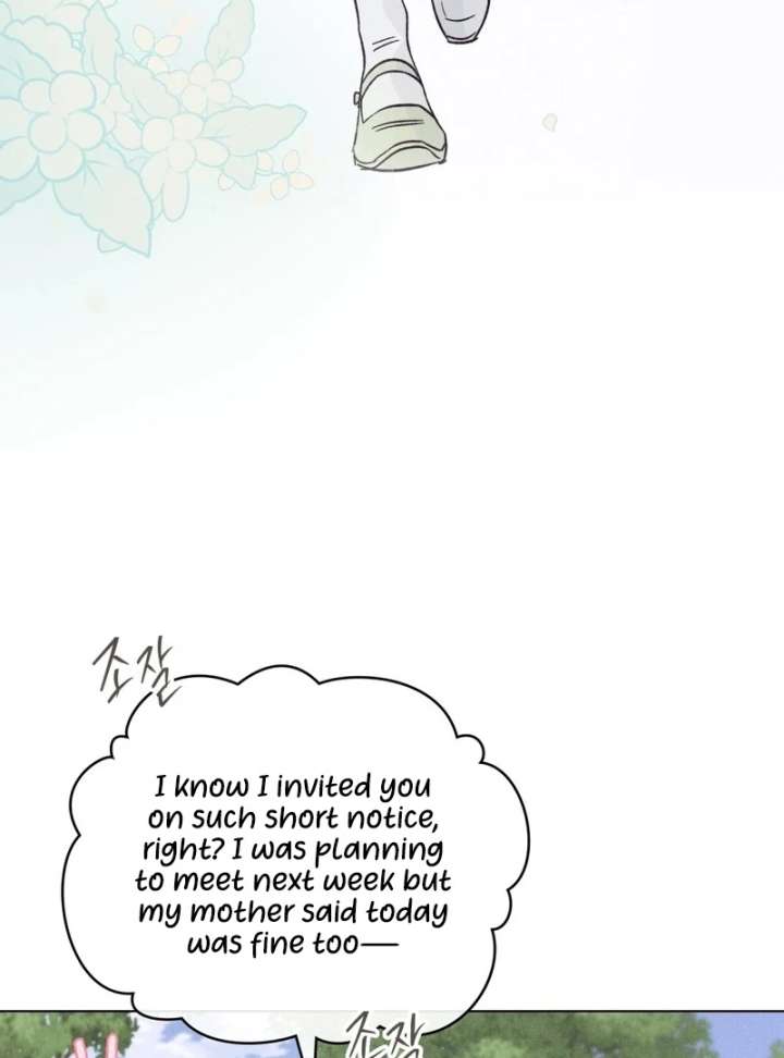 The Butterfly That Swallowed the Mist Chapter 14 285 05