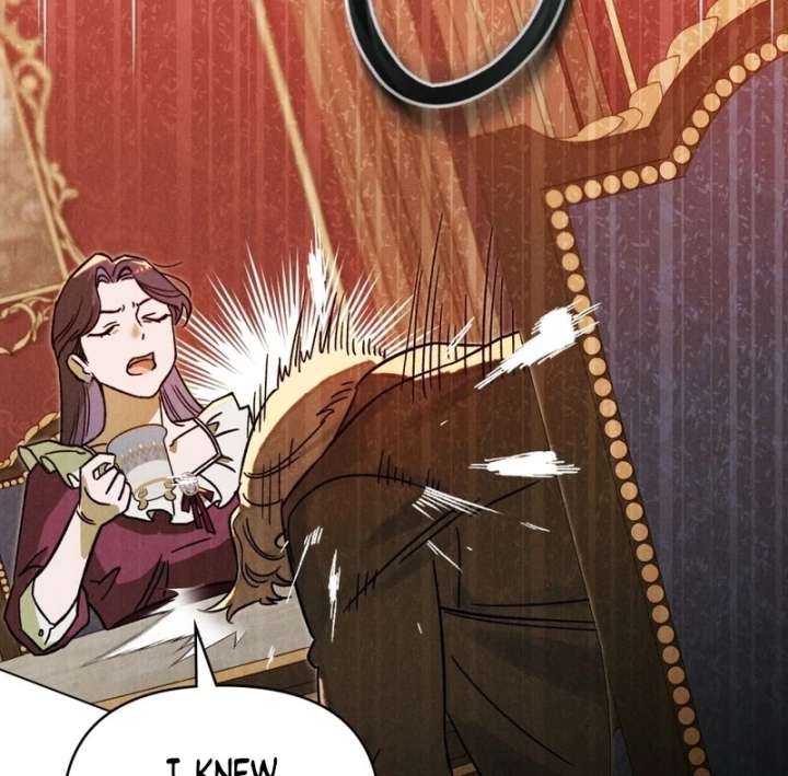 The Butterfly That Swallowed the Mist Chapter 19 377 25