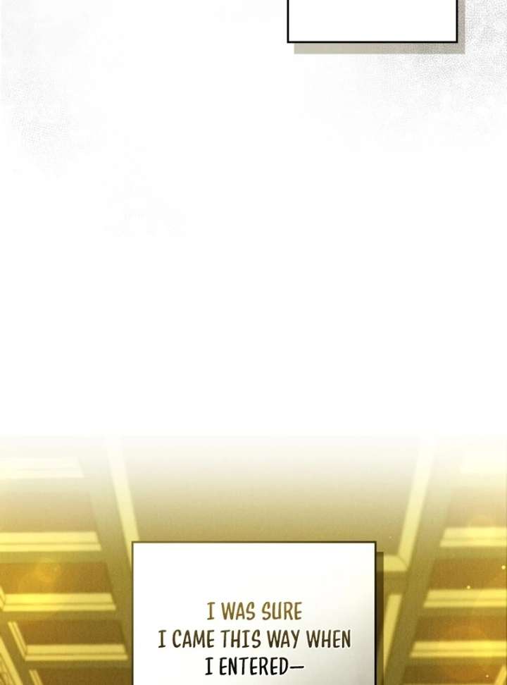 The Butterfly That Swallowed the Mist Chapter 19 387 35