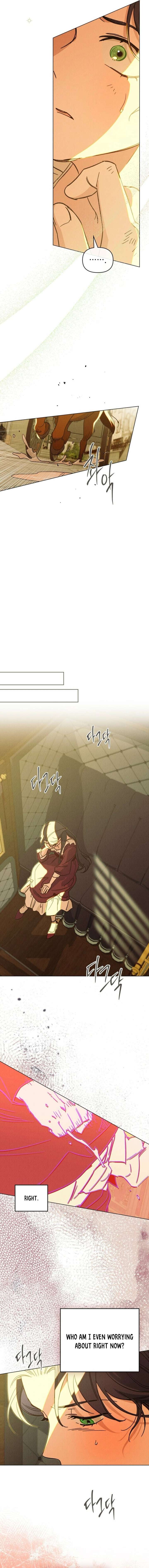 The Butterfly That Swallowed the Mist Chapter 20 56 10