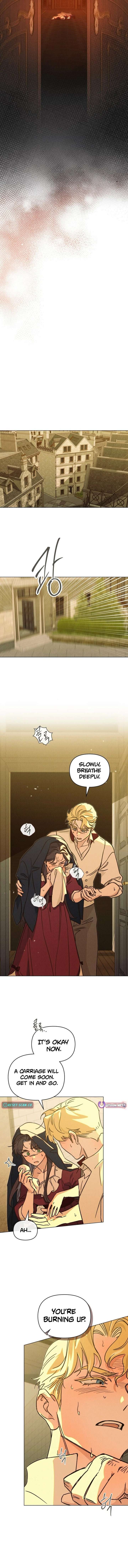 The Butterfly That Swallowed the Mist Chapter 20 52 6