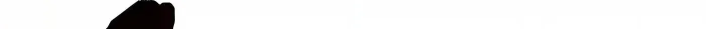 367c60f315db 36 webp