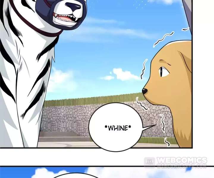 From Somebody to Nobody to Somebody Again Chapter 43 179 ch 43 20
