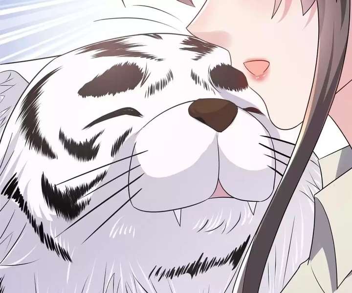 ch 60 40