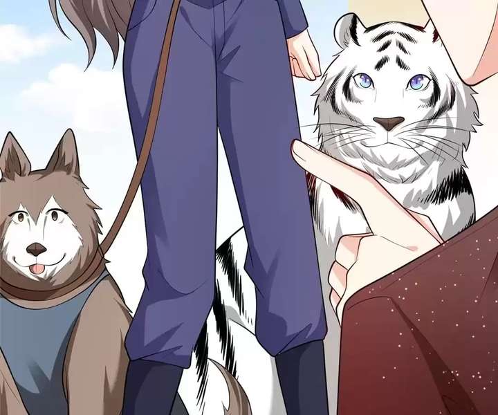 ch 81 13