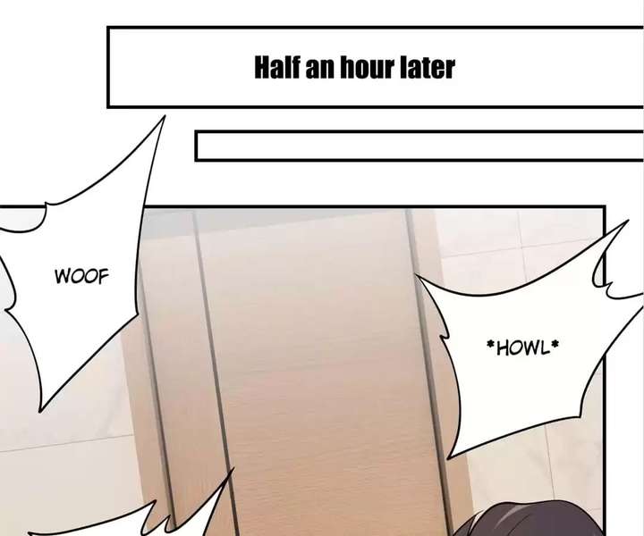 ch 81 24