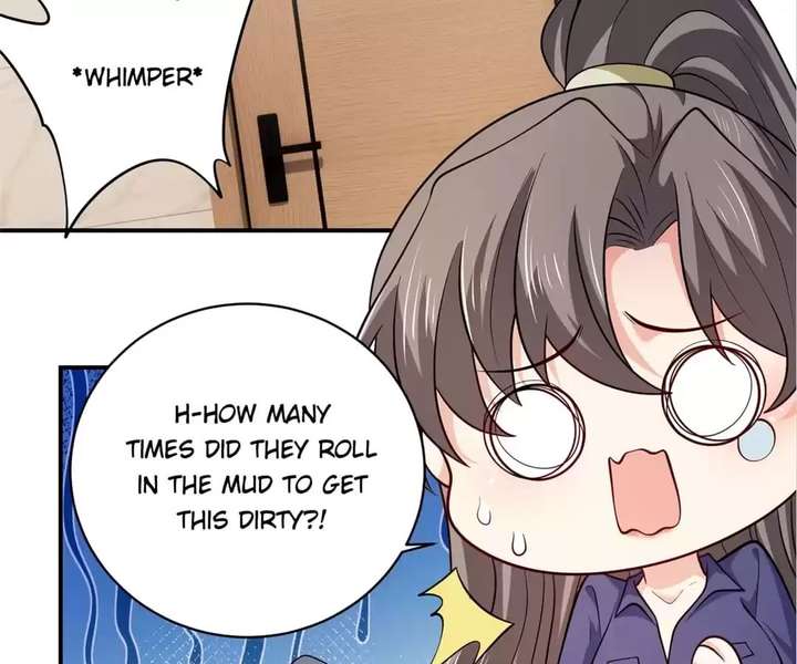 ch 81 25