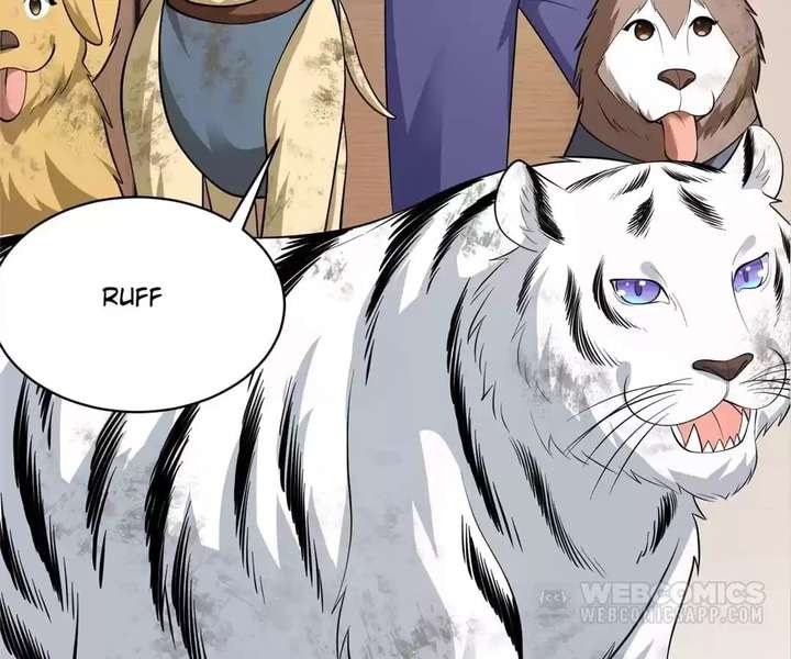 ch 81 28