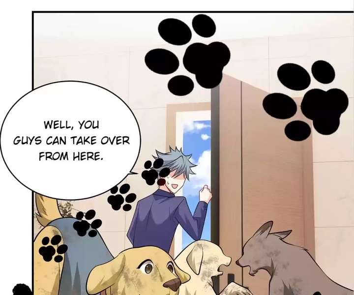 ch 81 31