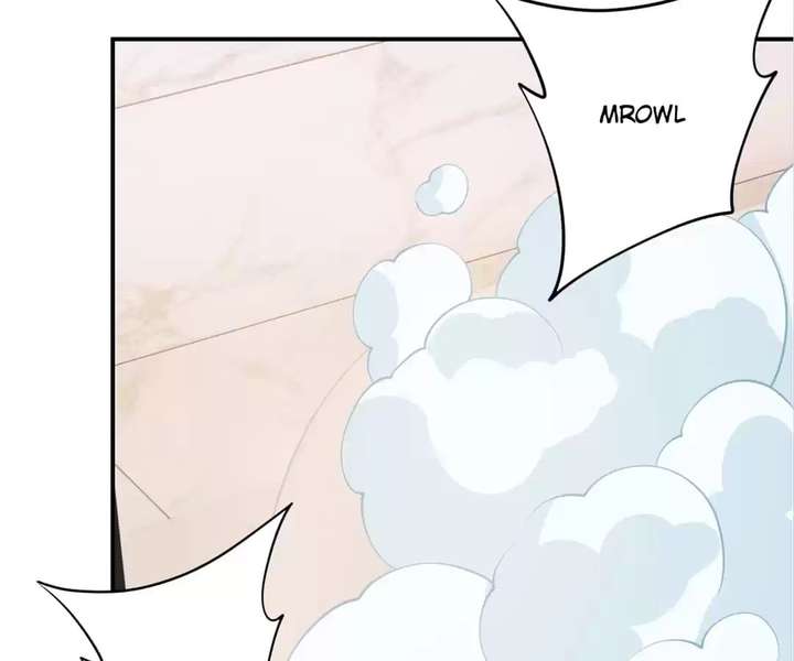 ch 81 40