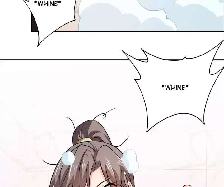 ch 81 41