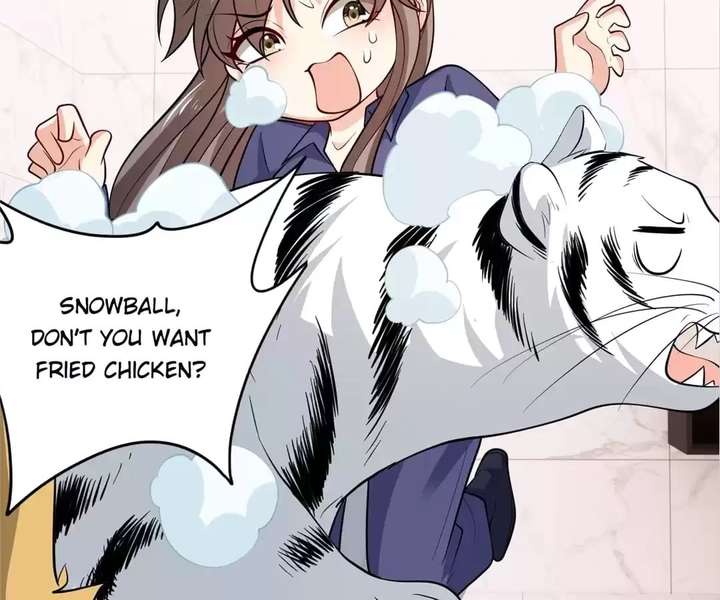 ch 81 42