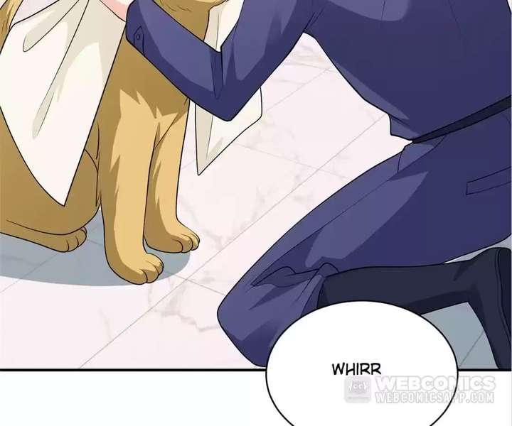 ch 81 47