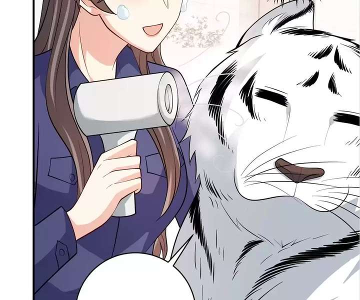 ch 81 49