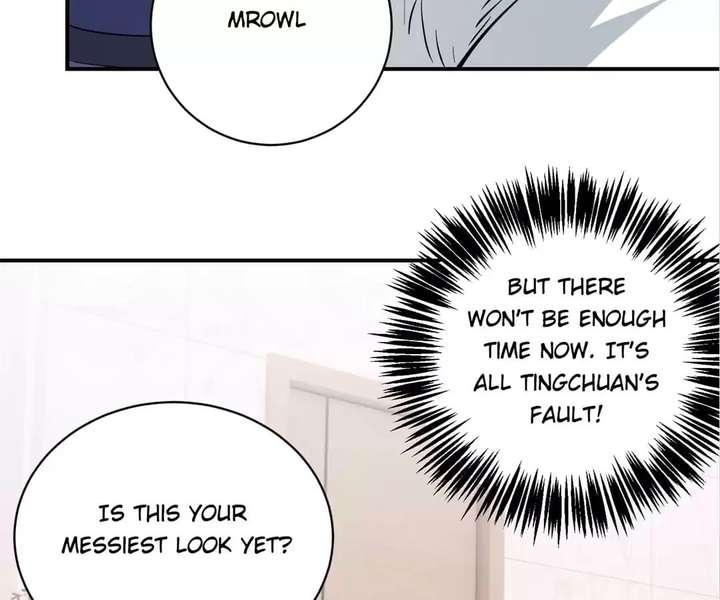 ch 81 50