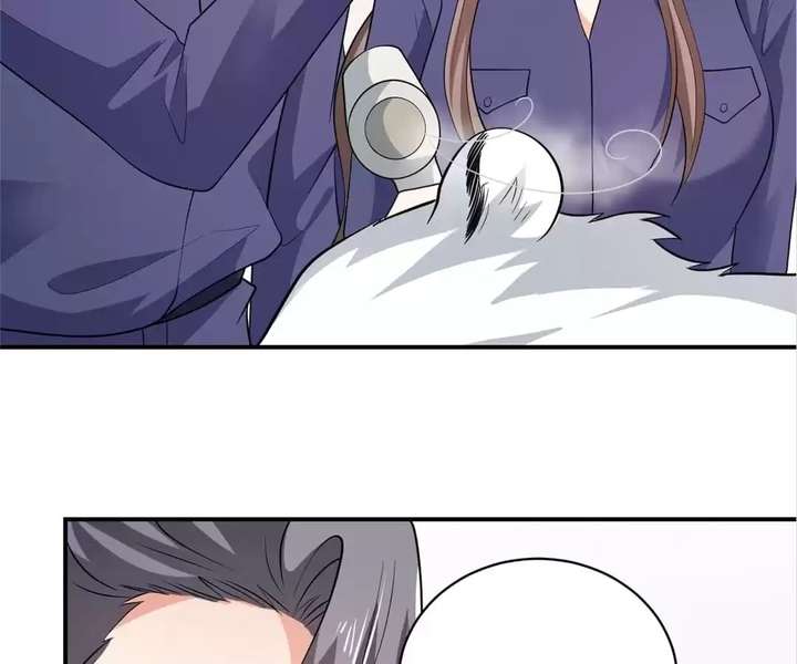 ch 81 52