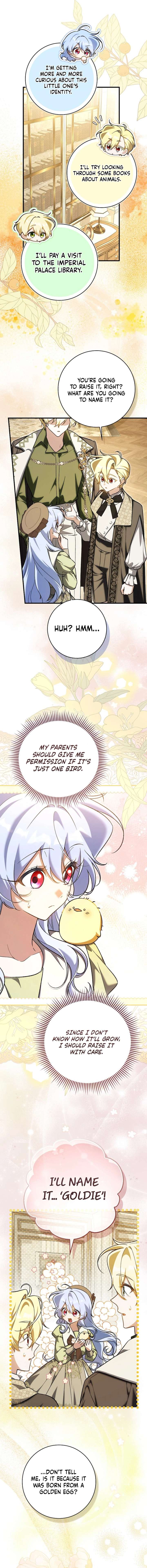 ch 36 17