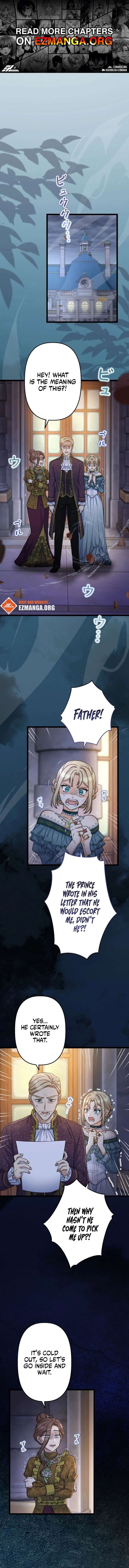 ch 23 1